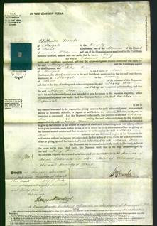 Court of Common Pleas - Mary Fox-Original Ancestry