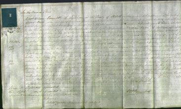 Court of Common Pleas - Mary Gay-Original Ancestry