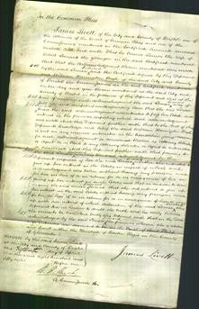 Court of Common Pleas - Louisa Leonard-Original Ancestry