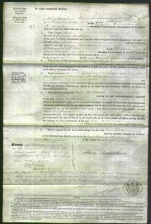 Court of Common Pleas - Ann Mottram-Original Ancestry