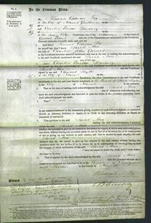 Court of Common Pleas - Sarah Ann Garrood-Original Ancestry