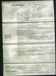 Court of Common Pleas - Mary Hewlett-Original Ancestry