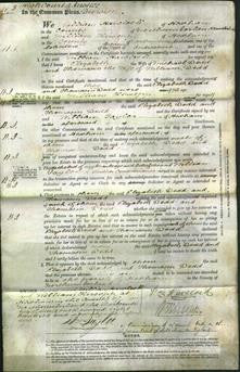 Court of Common Pleas - Elizabeth Dodd, Thomasin Dodd-Original Ancestry