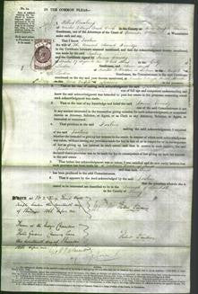 Court of Common Pleas - Isaline Burridge-Original Ancestry