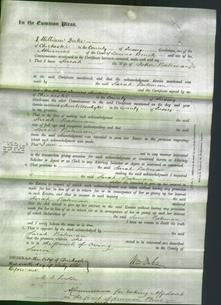 Court of Common Pleas - Sarah Bateman