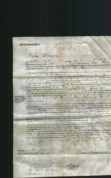 Court of Common Pleas - Agnes Bary-Original Ancestry