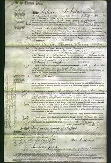 Court of Common Pleas - Ann Henshall, Mary Arrowsmith and Emma Molyneux-Original Ancestry