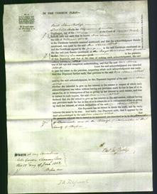 Court of Common Pleas - Ann Maria Abbott-Original Ancestry