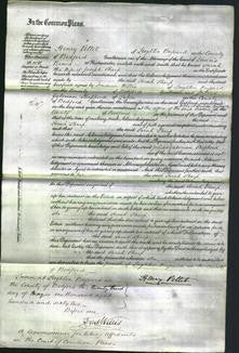 Court of Common Pleas - Sarah Sharp-Original Ancestry
