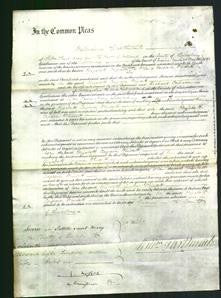 Court of Common Pleas - Elizabeth Congreve Windett-Original Ancestry