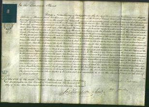 Court of Common Pleas - Ann Bacon-Original Ancestry