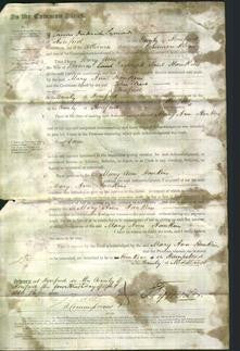 Court of Common Pleas - Mary Ann Hankins-Original Ancestry