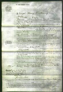 Court of Common Pleas - Elizabeth Paget-Original Ancestry