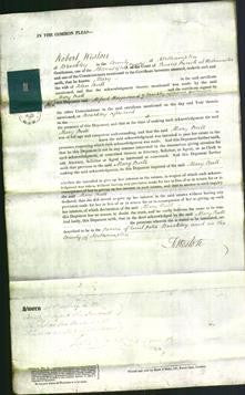 Court of Common Pleas - Mary Bull-Original Ancestry