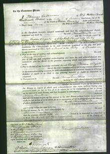 Court of Common Pleas - Anne Mullens-Original Ancestry