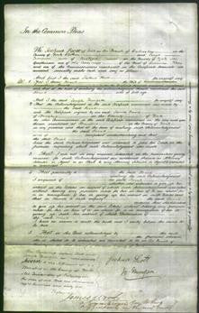 Court of Common Pleas - Sarah Booth-Original Ancestry