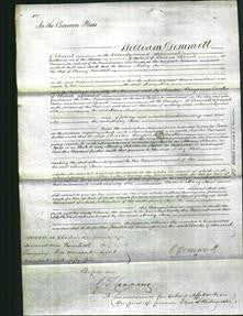 Court of Common Pleas - Mary Ann Rendall-Original Ancestry