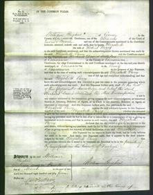 Court of Common Pleas - Elizabeth Perry-Original Ancestry