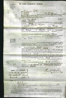 Court of Common Pleas - Sarah Warden-Original Ancestry