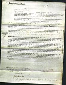 Court of Common Pleas - Ann Curteis-Original Ancestry