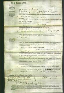 Court of Common Pleas - Mary Knight-Original Ancestry