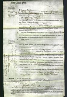 Court of Common Pleas - Susan Christopherson-Original Ancestry