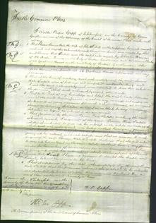 Court of Common Pleas - Louisa Kate Sindell-Original Ancestry