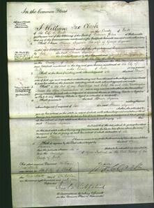 Court of Common Pleas - Eleanor Syemour-Original Ancestry