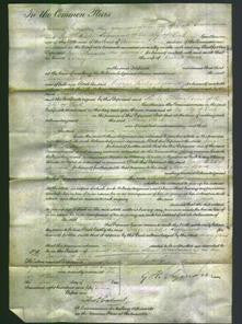 Court of Common Pleas - Mary Ward-Original Ancestry