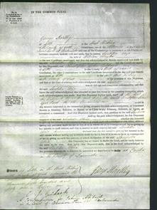 Court of Common Pleas - Isabella Eliza Clayton-Original Ancestry