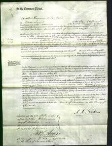 Court of Common Pleas - Anne Weight-Original Ancestry