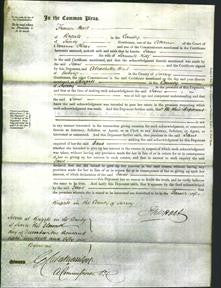 Court of Common Pleas - Jane Reef-Original Ancestry