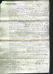 Court of Common Pleas - Jane Ingleby-Original Ancestry