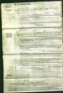 Court of Common Pleas - Sarah Buckenham-Original Ancestry