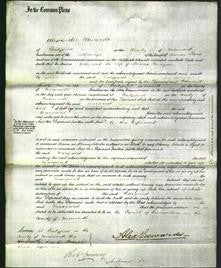 Court of Common Pleas - Margaret Morgan-Original Ancestry