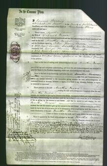 Court of Common Pleas - Martha Moore-Original Ancestry