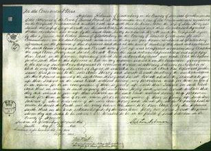 Court of Common Pleas - Ann Horsey and Sarah Perratt-Original Ancestry