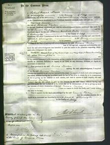 Court of Common Pleas - Emma Tomlini-Original Ancestry