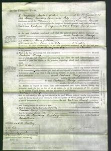 Court of Common Pleas - Victoria Bury-Original Ancestry