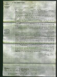 Court of Common Pleas - Susan Robinson-Original Ancestry