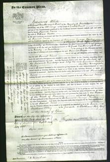Court of Common Pleas - Harriet Niven-Original Ancestry