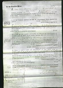 Court of Common Pleas - Sabrina Gisborne-Original Ancestry