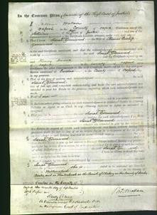 Court of Common Pleas - Sarah Louisa Greenwood-Original Ancestry
