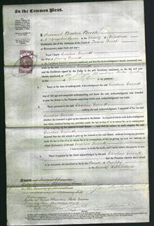 Court of Common Pleas - Caroline Garrett-Original Ancestry