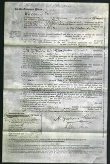 Court of Common Pleas - Isabel Coates-Original Ancestry