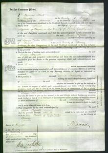 Court of Common Pleas - Sarah Hipwell-Original Ancestry