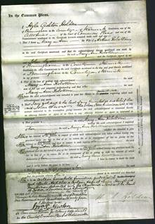 Court of Common Pleas - Mary Ann Robottom-Original Ancestry