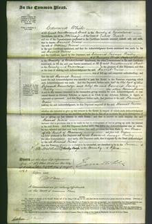 Court of Common Pleas - Harriet Niven-Original Ancestry