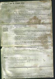 Court of Common Pleas - Jane Adams Fullbrook-Original Ancestry