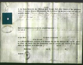 Appointment of Special Commissioners - Horace Young, Henry Moorhouse and George Christian-Original Ancestry